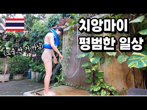 치앙마이 올드시티 물뱀, <strong>수영</strong>, <strong>장애인</strong> 협회, 창푸악 야시장 | 태국 한달살이 Ep.18