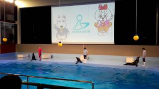 1060710京王讀賣樂園海獅秀2