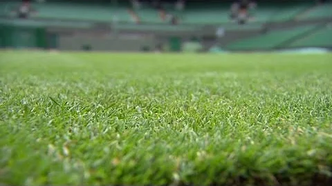 Wimbledon grass prepped for tennis season - DayDayNews