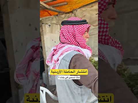 اغرب اسم نوع بذور في الاردن حاملة الاردن اكسبلور عم ان حامله حمص 