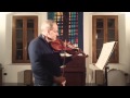Gaspar Borchardt viola modello A. Guarneri 2012! musicista Wim Janssen