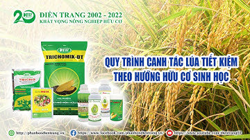 QUY TRÌNH CANH TÁC LÚA TIẾT KIỆM THEO HƯỚNG HỮU CƠ SINH HỌC