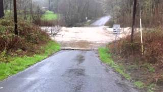 3/30/12 The Evans Creek is a raging torrent! this is the road beside our house. The creek is over the bridge and it