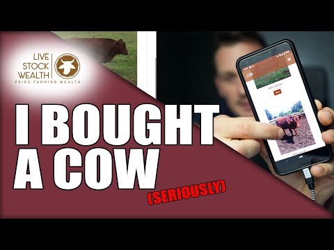 Is Livestock Wealth
