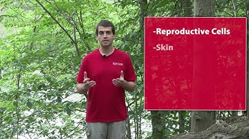 Environmental DNA (eDNA): What is it?