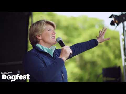 Dogfest Tatton Park 25 26th September 2021 Youtube