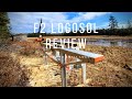Logosol F2 Review: An Ode to Little Logs!