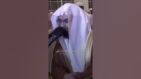 والمؤمنون والمؤمنات بعضهم اولياء بعض ✨ الشيخ ناصر القطامي 🥺 سورة التوبة