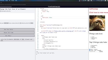 freeCodeCamp: Change the Font Size of an Element
