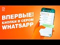 Кнопки в сером WhatsApp | Показываем, как работает в amoCRM