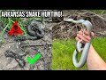 Highlights from a 100 snake weekend in arkansas lots of cottonmouths and more in the swamp