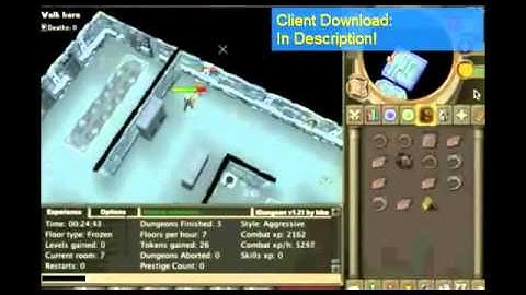 Runescape IDungPro V2.1