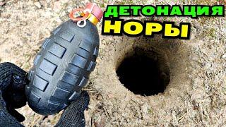 ✅ МОЩНАЯ ПЕТАРДА + НОРА🔥БРОСАЮ ПЕТАРДЫ ПОД ЗЕМЛЮ 💥ГРАНАТА vs НОРА💣ВЗРЫВАЮ ПЕТАРДЫ🔴 МОЯ ПИРОТЕХНИКА