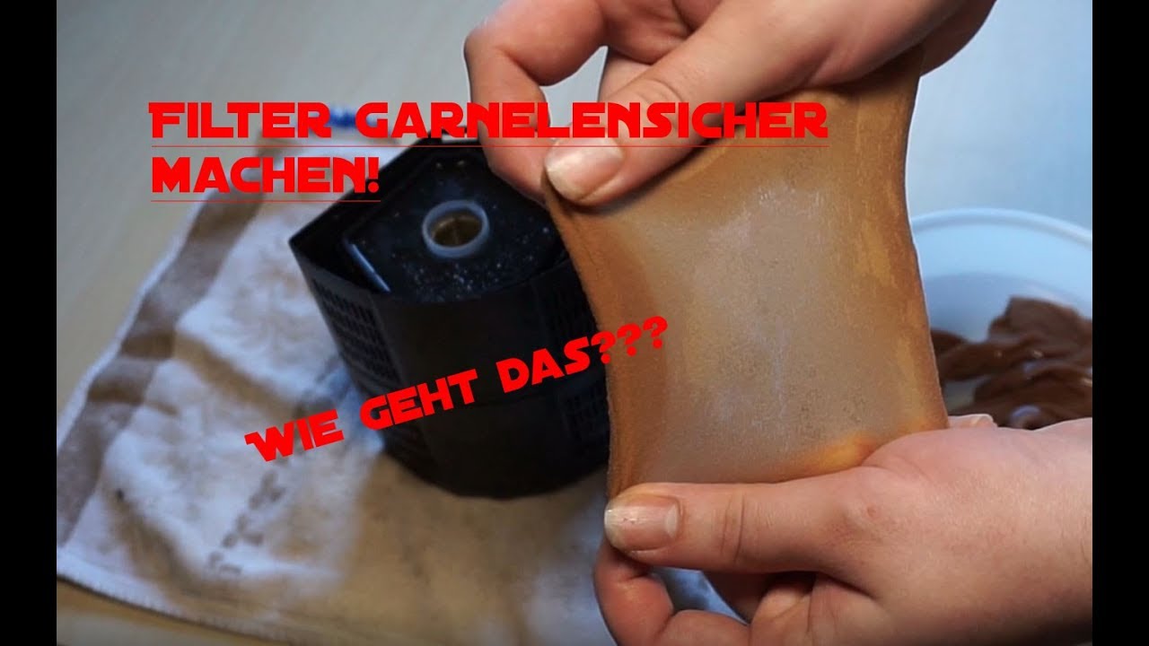 Aquarium Filter Garnelensicher Machen