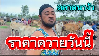 พาขมบรรยากาศชท้อขายควายตลาดนางัว อ.สว่าง จ.สกลนคร #ราคาควายวันนี้ 2/6/67