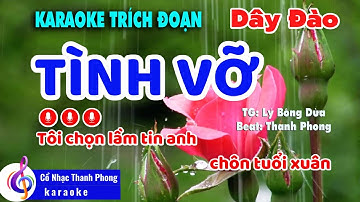 Karaoke Trích Đoạn Tình Vỡ I Phong Cách Phương Cẩm Ngọc I Dây Đào