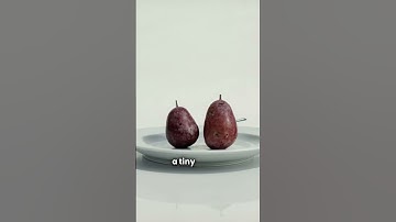 Did you know grapes can make plasma in a microwave? #fruit #food #facts #shortvideo #shorts