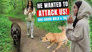 Dog Tried Attacking Us  Dog Squad Walk & Talk