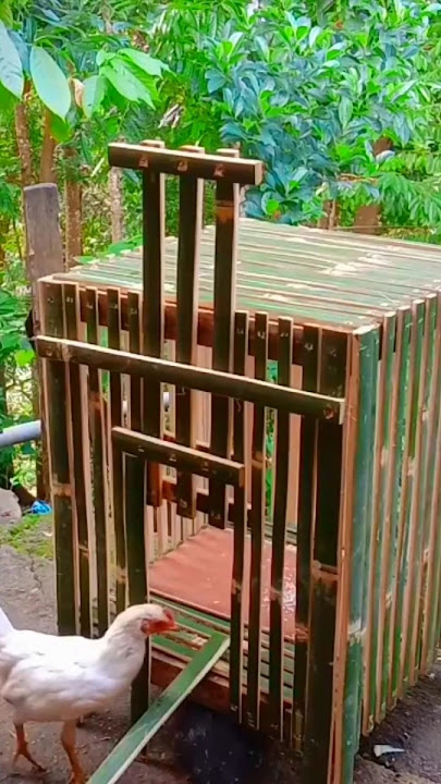#shorts cara tercepat bikin kandang ayam #diy#craft#creative