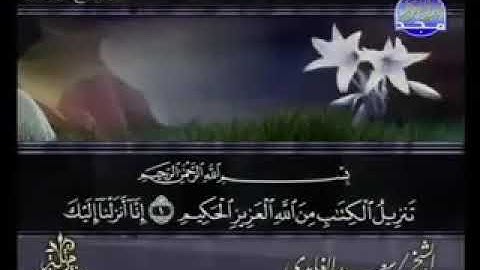 سورة الزمر_ بصوت الشيخ سعد الغامدي