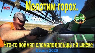 Молотим горох. Что то поймал сломала пальцы на шнеке. Ломаются валы на комбайнах Т660.