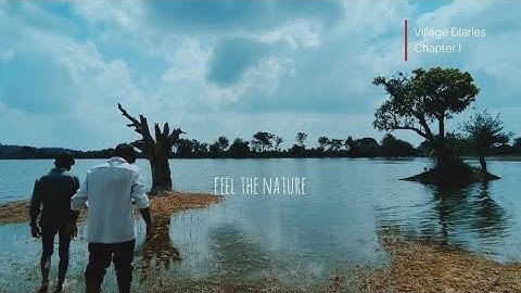 Village River Side | Cinematic Video | Peaceful Nature Vibes