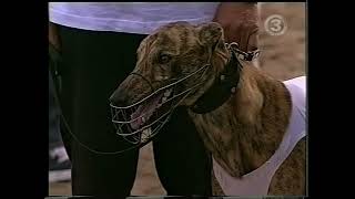 Greyhound Racing (TV3 2002-05-25)