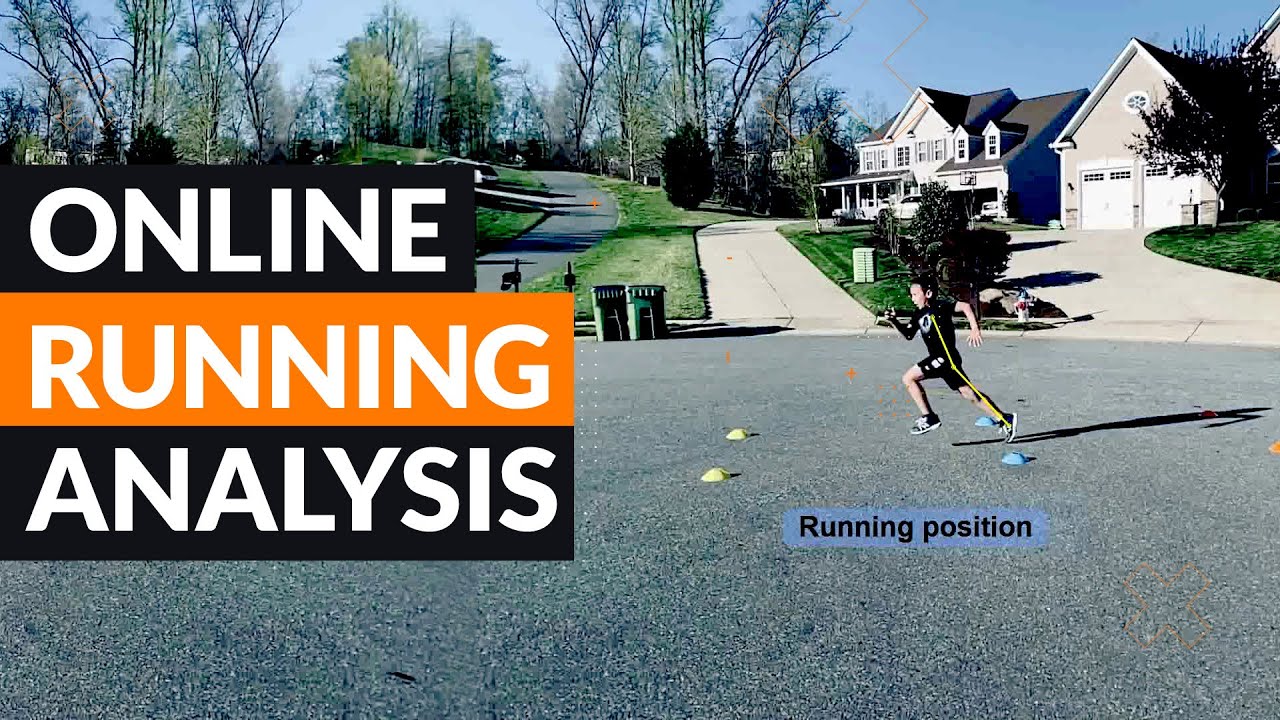 Run analyse. Run analyse. Дизайн интерфейса рыбы. Run analyse. What is paragraph.