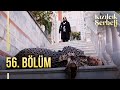 Kızılcık Şerbeti 56. Bölüm  @showtv image