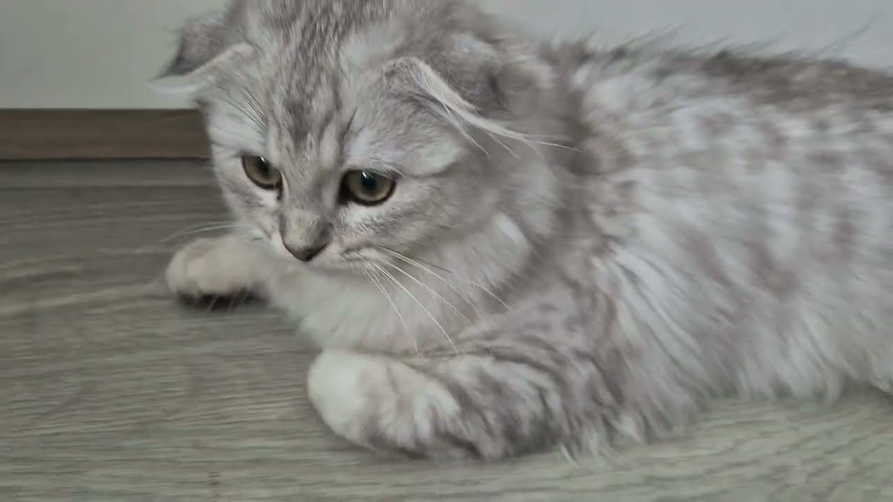 Соня, Батя и зарядка 😊