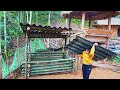 Build a bamboo pigpen, Build a beautiful farm - peaceful life, Dang Thi Hien