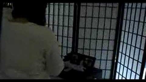 Eliot Popkin - The Reason Why