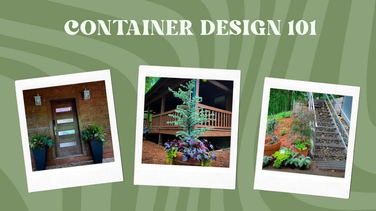 Container Design 101: Watch this before you plant - YouTube