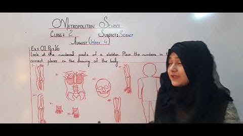 Metropolitan School Week 4 Class 2 Science Lesson