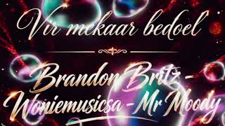 Vir mekaar bedoel (Mr Moody, Brandon Britz & Woniemusicsa) Visualizer
