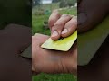 استخدم كارت الائتمان لمسح اللسعه 