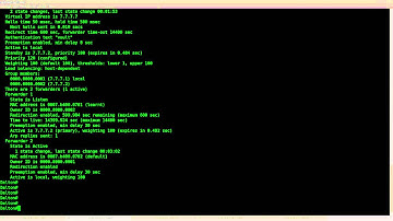 Gateway Load Balancing Protocol (GLBP) lab in GNS3