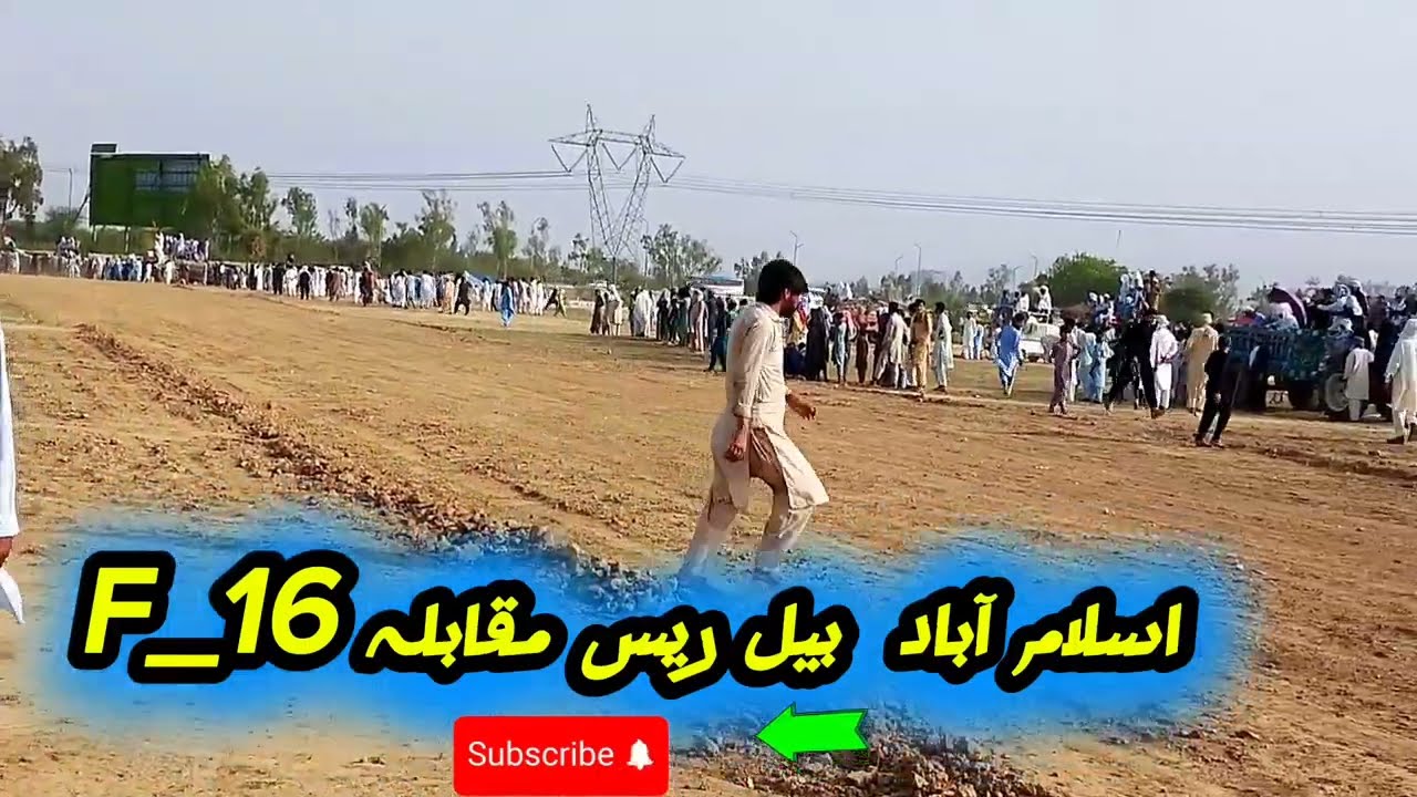 Bull Race In Islamabad Sector F-16 2025|Thrilling Highlights & Full Event Coverage