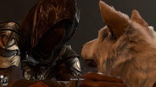 Baldur's Gate 3 - Playing Fetch with Scratch (Ball)