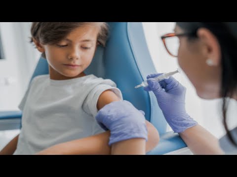 Video: Vaccination Med Kemisk Svækket Plasmodium Falciparum Aseksuelle Blodstadiet-parasitter Inducerer Parasitspecifikke Cellulære Immunresponser Hos Malaria-naive Frivillige: En Pilotun