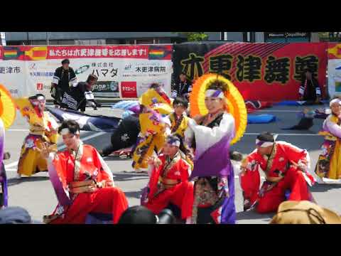 長南紅古蓮(木更津舞尊2025）