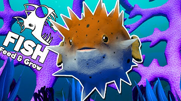 CON CÁ GAI KHỔNG LỒ!!| Feed and Grow: FISH[24]