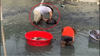 The skill of catching countless fish in a shallow pond - Traditional fishing with a fishing cage