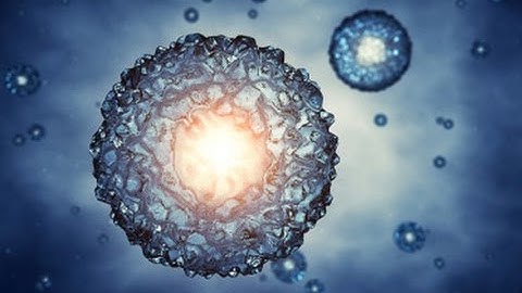 Can We Create Brand New Life In The Lab?