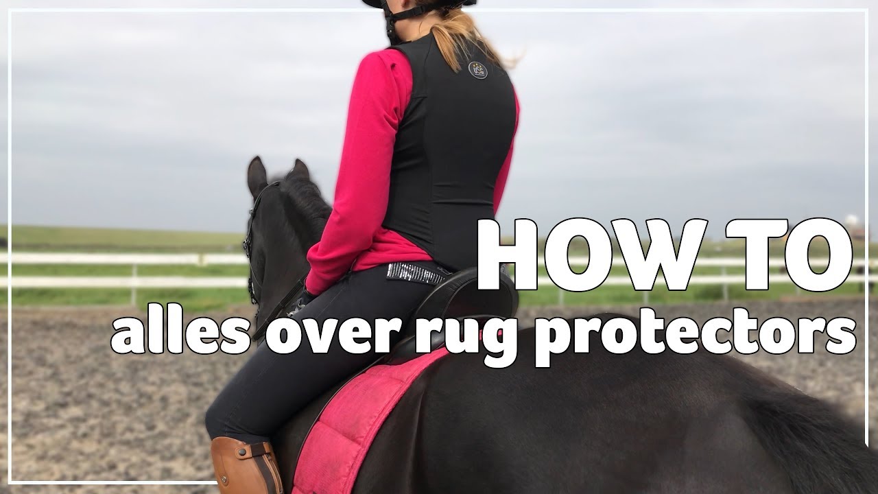 Overjas vervagen Geit Bodyprotectors paardrijden - Horsenl