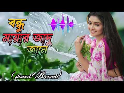Bondhu Mayar Jadu Jane | slowed Reverb & Shahin Rana | বন্ধু মায়ার জাদু জানে | Hit Music Video 2024