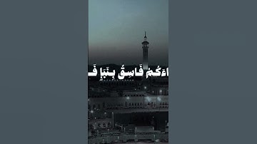 سبحان الله وبحمده سبحان الله العظيم #متابعه #اكسبلور #المصحف #تيك_توك #تلاوة_خاشعة #لايك