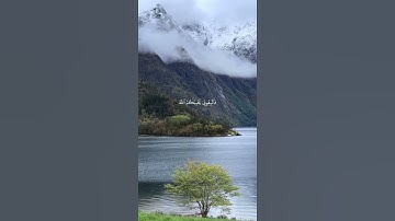 سورة ال عمران #قرءان_كريم #ماهر_المعيقلي
