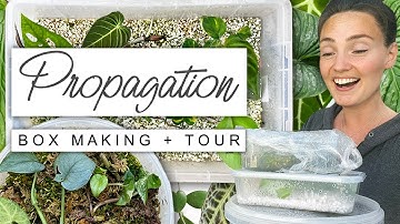 Make Propagation Boxes With Me + TOUR Of My Prop Boxes 🌿