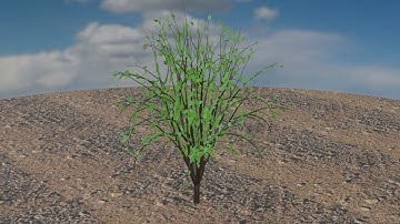 Creating a tree with leaves fast using hair particle system.
